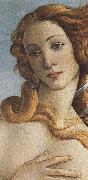 Sandro Botticelli The Birth of Venus (mk36) France oil painting artist